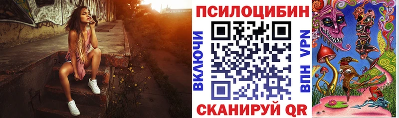 Псилоцибиновые грибы Psilocybe  купить наркоту  Лермонтов 
