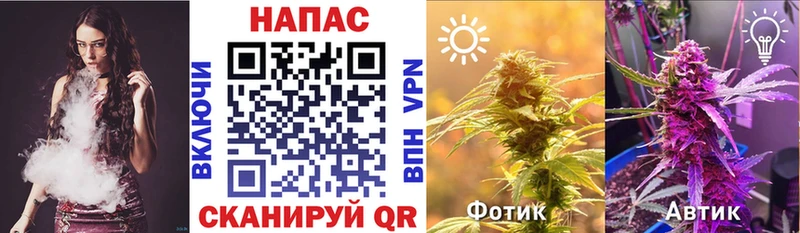 OMG зеркало Лермонтов Конопля OG Kush